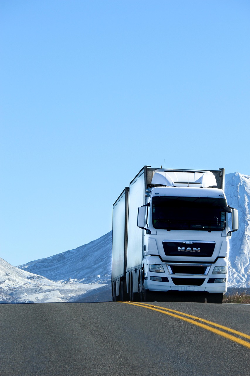 truck, road, vehicle, snow, white, blue, lorry, nature, transport, blue road, blue truck, blue snow, truck, truck, truck, truck, truck